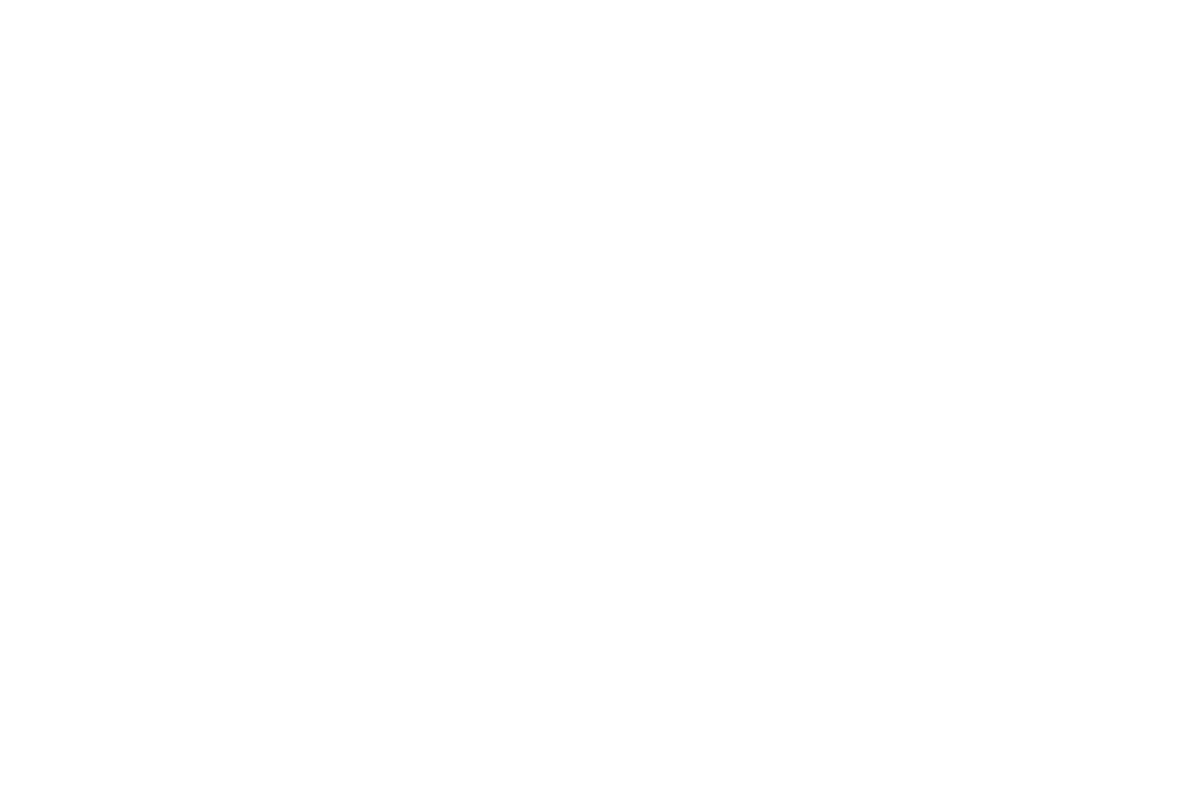 Logo_Virscient
